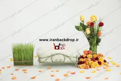 بک دراپ نوزاد و خردسال نوروز و بهار کد IBD-6995