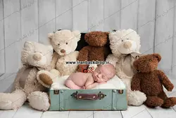 بک دراپ عکاسی  نوزادی چمدان و خرس ها کد IBD-7689
