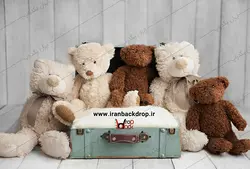 بک دراپ عکاسی  نوزادی چمدان و خرس ها کد IBD-7689