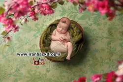 بک دراپ عکاسی با بک گراند سبز و شکوفه های بهاری کد IBD-5019