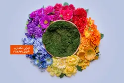بک دراپ نوزاد سبد رنگی عکاسی کد IBD-5718