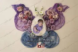 بک دراپ نوزاد پروانه بهاری با گل های رنگارنگ کد IBD-5465