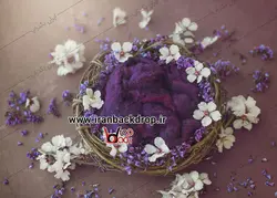 بک دراپ عکاسی سبد نوزادی با تم بنفش کد IBD-3082