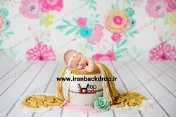 بک دراپ دیجیتال عکاسی سطل نوزاد با بک گراند گل کد IBD-1426