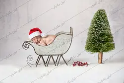 بک دراپ فضای برفی و درخت کاج زمستانی کد IBD-6294