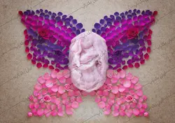 بک دراپ نوزاد پروانه گلبرگ های رز صورتی و بنفش کد IBD-3732