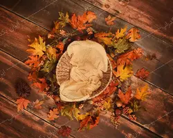 بک گراند دیجیتال عکاسی سبد نوزاد با برگ های پاییزی کد IBD-9802