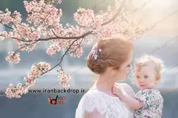 بک گراند عکاسی فضای باز بهار و شکوفه ها کد IBD-6309