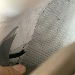 نیوبالانس 1906