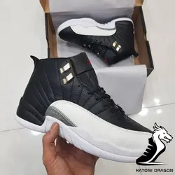 Nike Air jordan 12