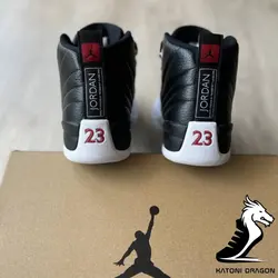 Nike Air jordan 12