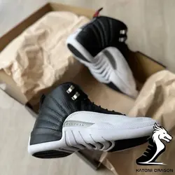 Nike Air jordan 12