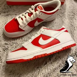 Nike sb dunk big