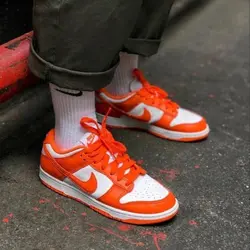 Nike sb dunk
