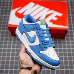 Nike sb dunk