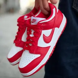 Nike sb dunk