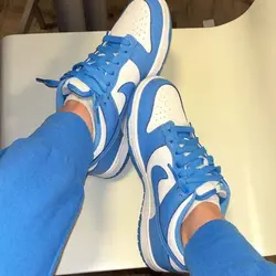 Nike sb dunk