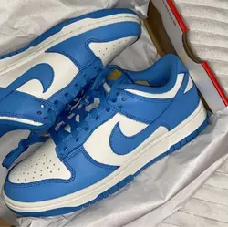 Nike sb dunk