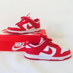 Nike sb dunk