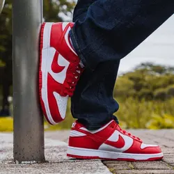 Nike sb dunk