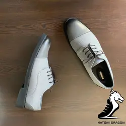 هاروارد لیمیتد ادیشن