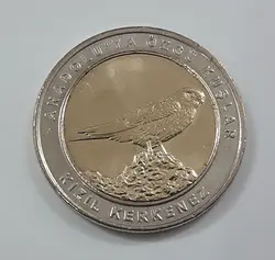 سکه خارجی کلکسیونی یادبودی دوفلزی پرندگان کشور ترکیه سال ۲۰۱۹ ( قسمت وسط سکه برنج و دور سکه نیکل )