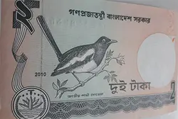 اسکناس خارجی کشور بنگلادش تیپ کمیاب سال ۲۰۰۷