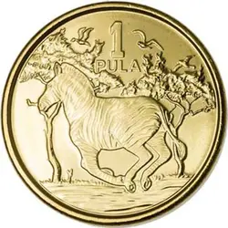 سکه خارجی کشور بتسوانا واحد ۱ سال ۲۰۱۳ کیفیت بانکی