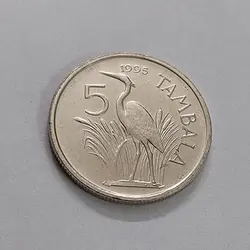 سکه کلکسیونی کمیاب مالاوی طرح زیبا