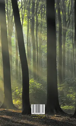 آفتاب و سایه نشر پروچستا