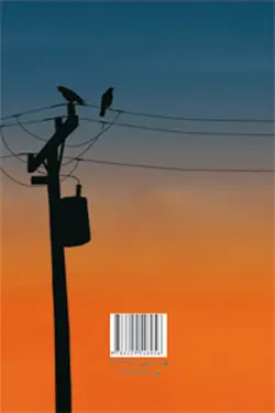 سایه های سکوت نشر پروچستا