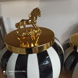 جینجرجار یا بانکه هرمس زبرا (گورخری) تُرک🇹🇷