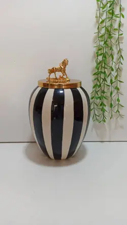 جینجرجار یا بانکه هرمس زبرا (گورخری) تُرک🇹🇷
