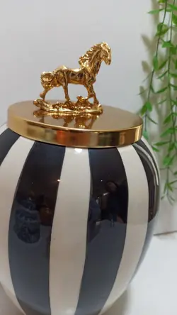 جینجرجار یا بانکه هرمس زبرا (گورخری) تُرک🇹🇷