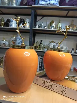 🌱جینجرجار  یا بانکه هرمس تُرک نارنجی