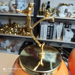 🌱جینجرجار  یا بانکه هرمس تُرک نارنجی
