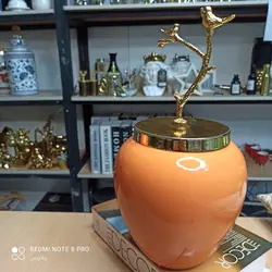 🌱جینجرجار  یا بانکه هرمس تُرک نارنجی