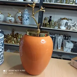 🌱جینجرجار  یا بانکه هرمس تُرک نارنجی