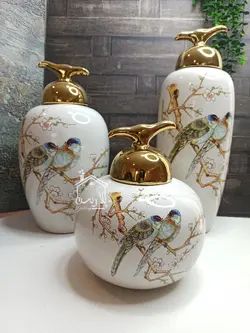 جینجرجار یا بانکه وارداتی پرنده در طلایی