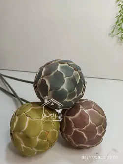 گل فوم کاکتوس توپی
