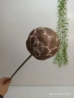 گل فوم کاکتوس توپی