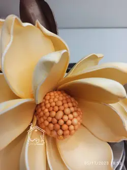گل فوم پیونی تک گل