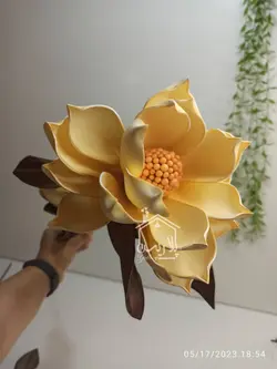 گل فوم پیونی تک گل