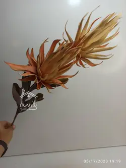 شاخه فوم شعله دو گل