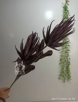 شاخه فوم شعله دو گل