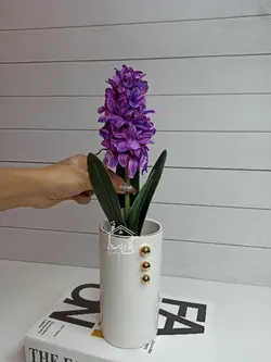 گل سنبل پیازدار وارداتی