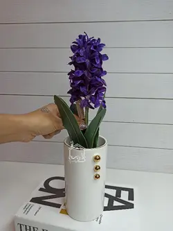 گل سنبل پیازدار وارداتی