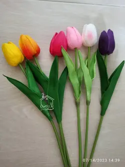 گل لاله فومی رنگبندی🌈