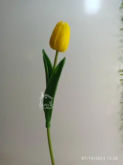 گل لاله فومی رنگبندی🌈