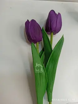 گل لاله فومی رنگبندی🌈